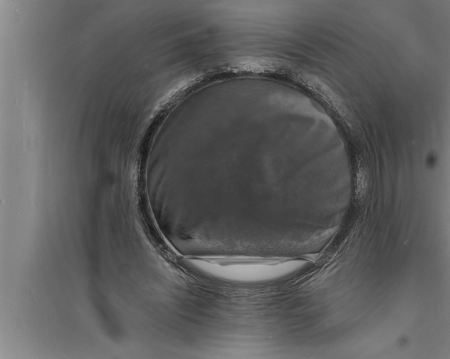 X0000094060444200711161528