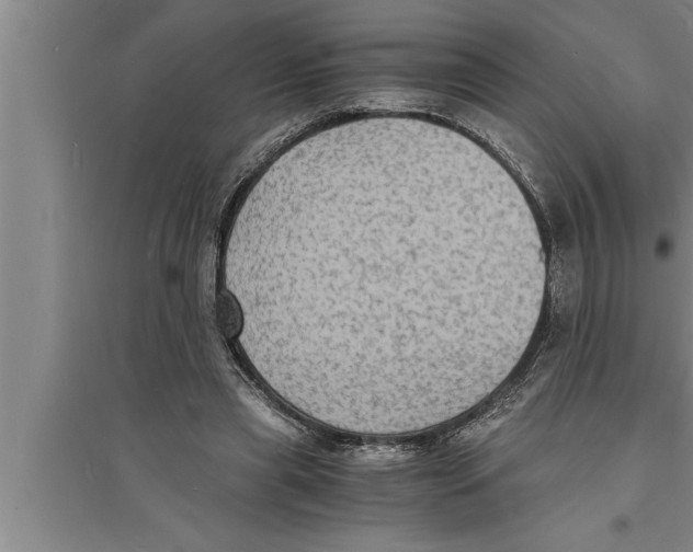 X0000094060445200711161528