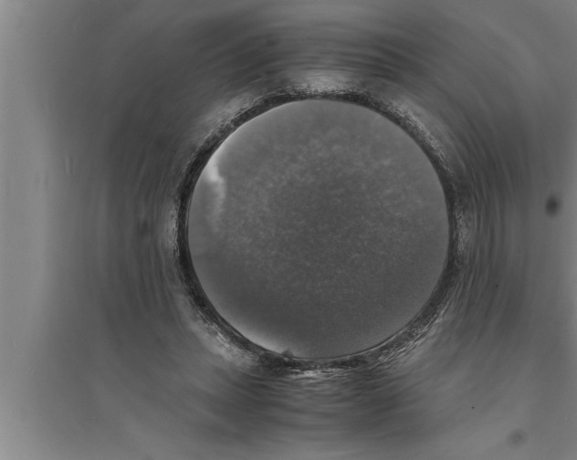 X0000094060447200711161528