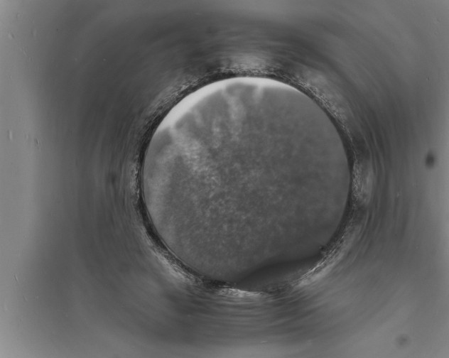 X0000094060449200711161528