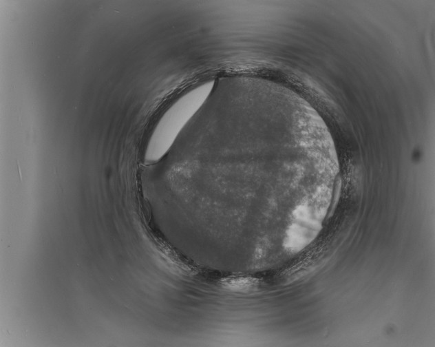 X0000094060452200711161528