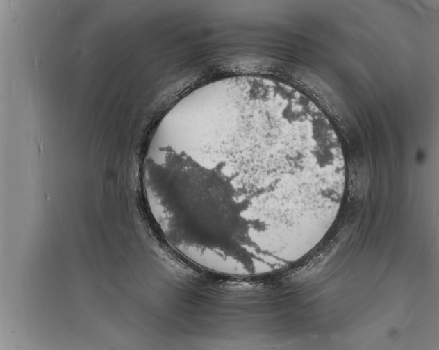 X0000094060453200711161528