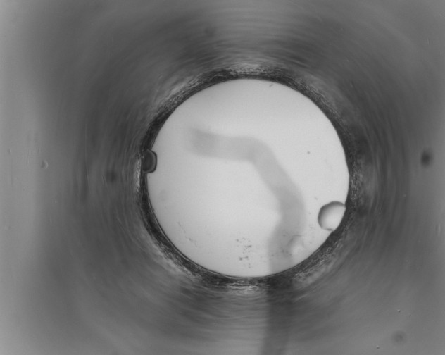 X0000094060454200711161528