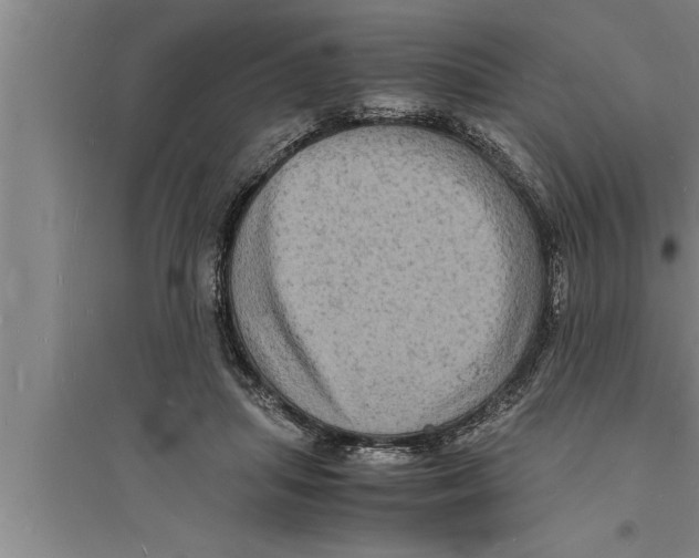 X0000094060455200711161528