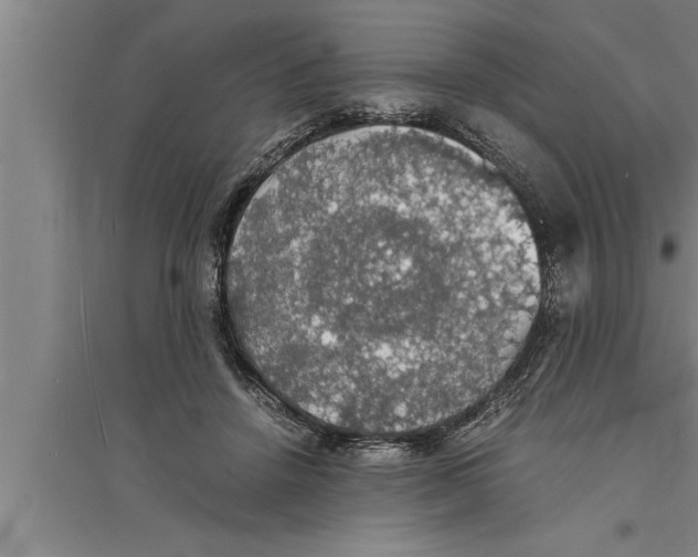 X0000094060456200711161528