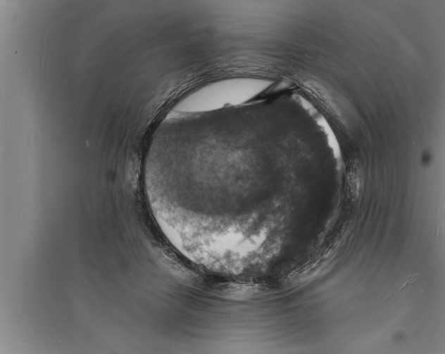 X0000094060458200711161528