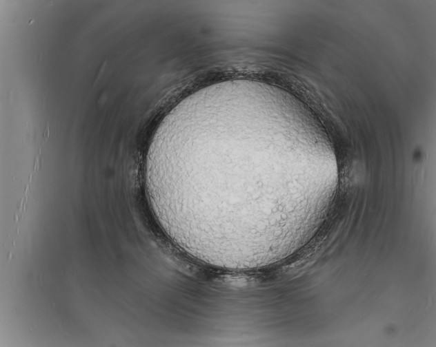 X0000094060464200711161528