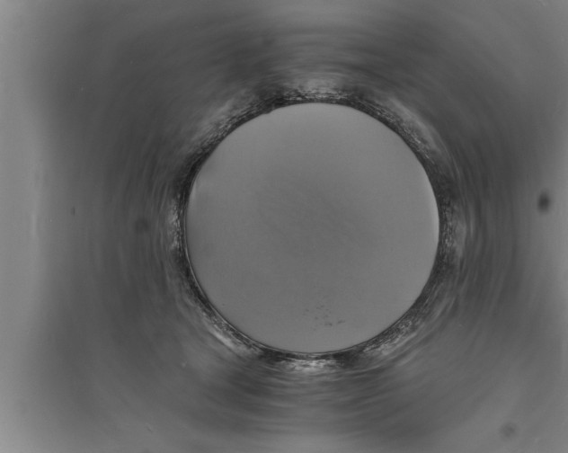 X0000094060465200711161528