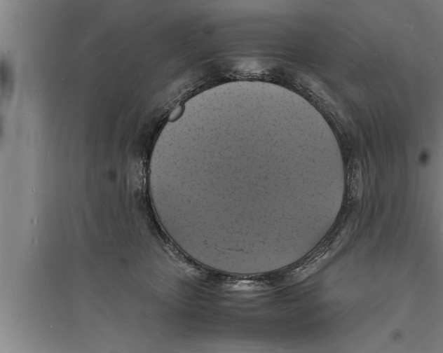 X0000094060467200711161529