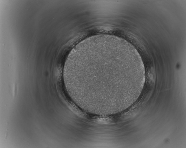 X0000094060468200711161529