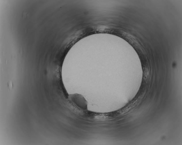 X0000094060470200711161529