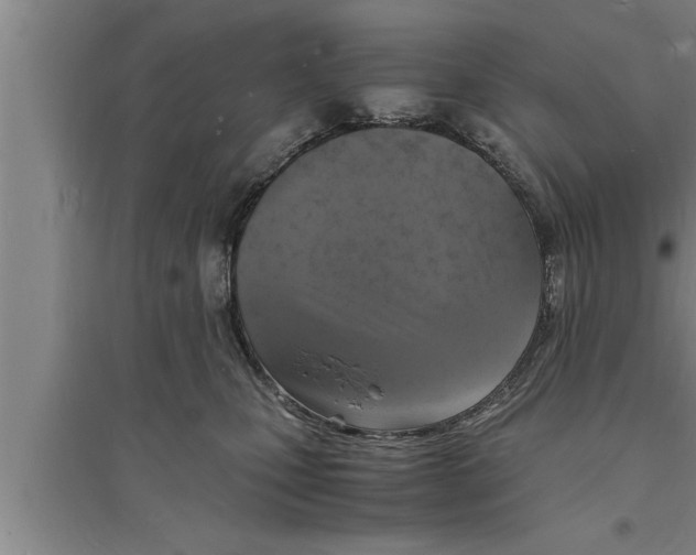 X0000094060471200711161529