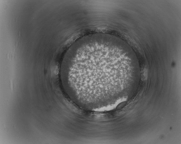 X0000094060472200711161529