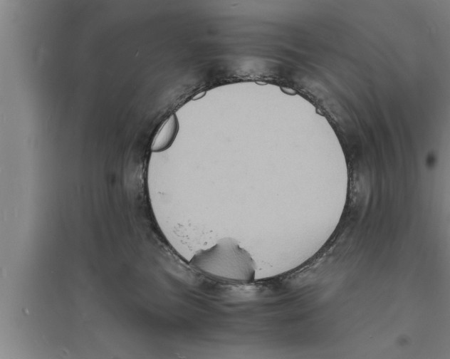 X0000094060473200711161529