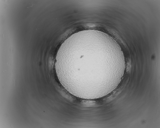 X0000094060476200711161529