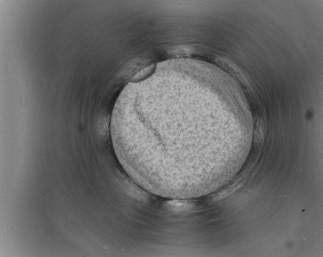 X0000094060477200711161529