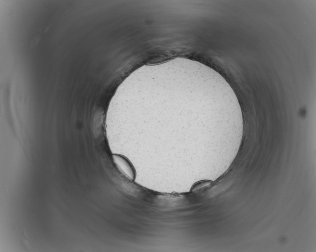 X0000094060480200711161529