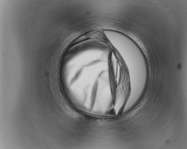 X0000094060481200711161528