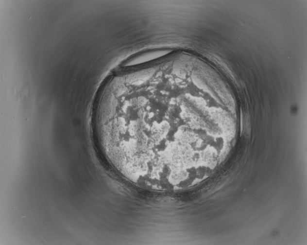 X0000094060483200711161528