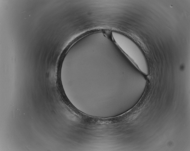 X0000094060484200711161528