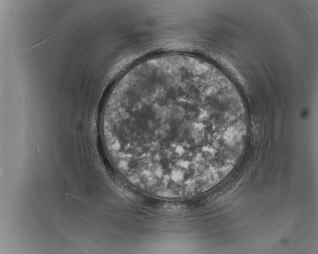 X0000094060487200711161528