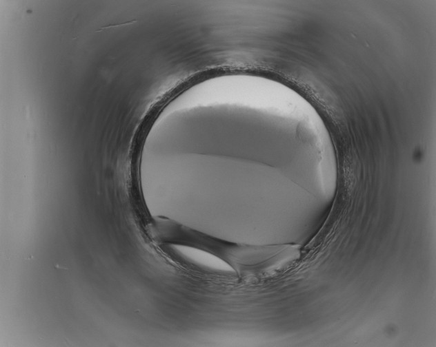 X0000094060488200711161528