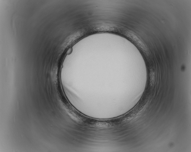 X0000094060490200711161528