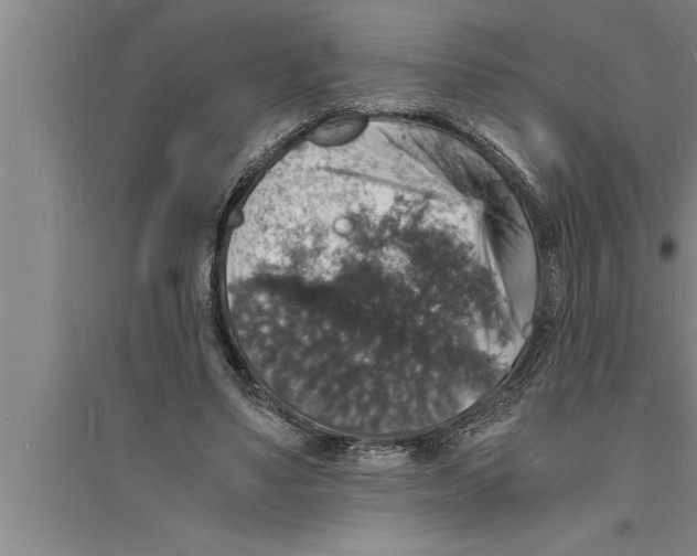 X0000094060491200711161528