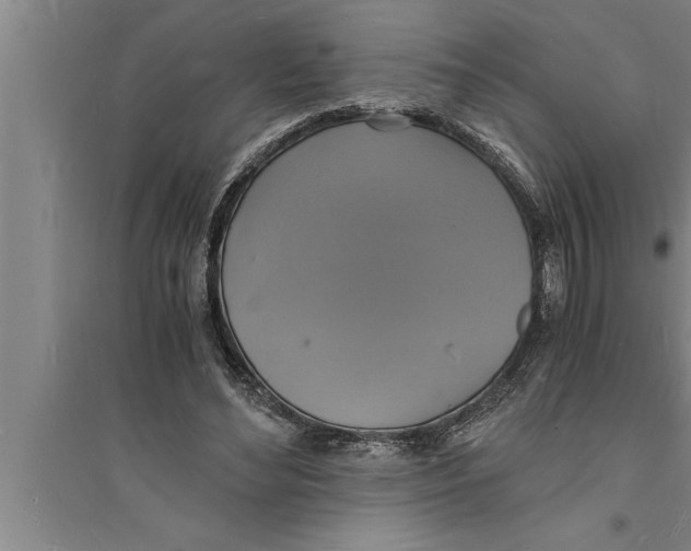 X0000094060492200711161528