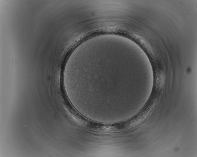 X0000094060493200711161528