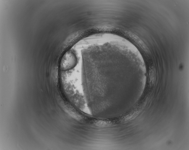 X0000094060494200711161528