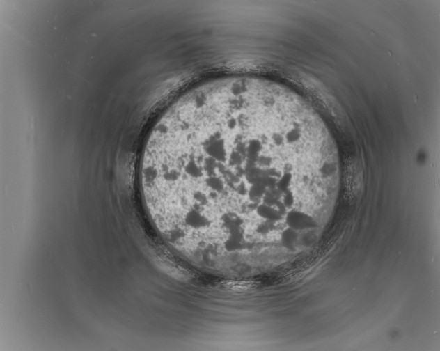 X0000094060495200711161528