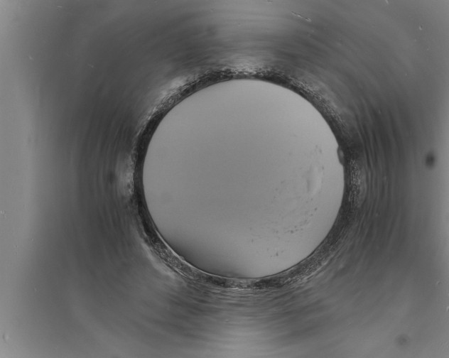 X0000094060496200711161528