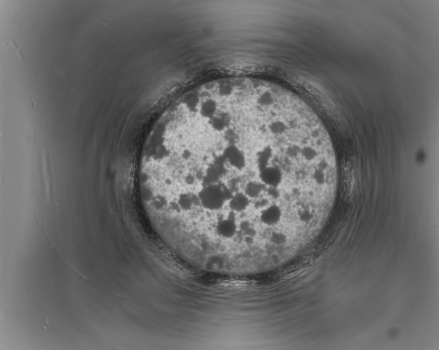 X0000094060499200711161528