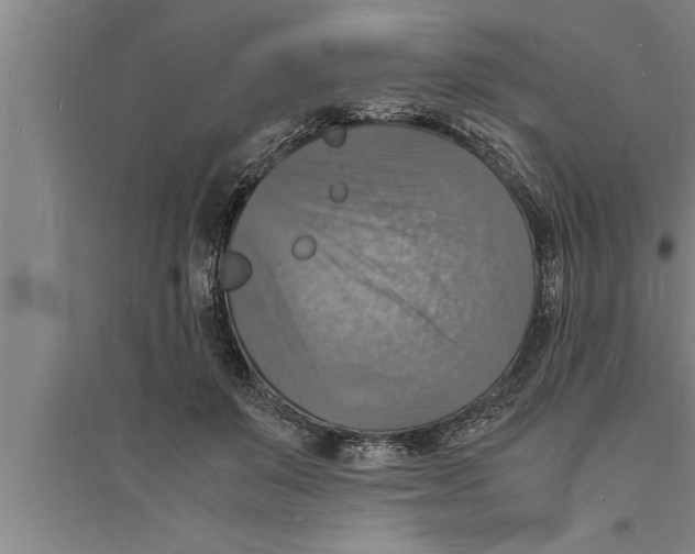 X0000094060503200711161528