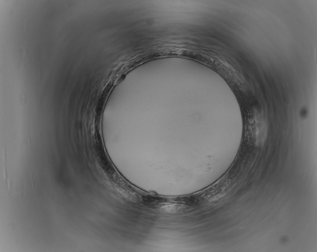 X0000094060504200711161528