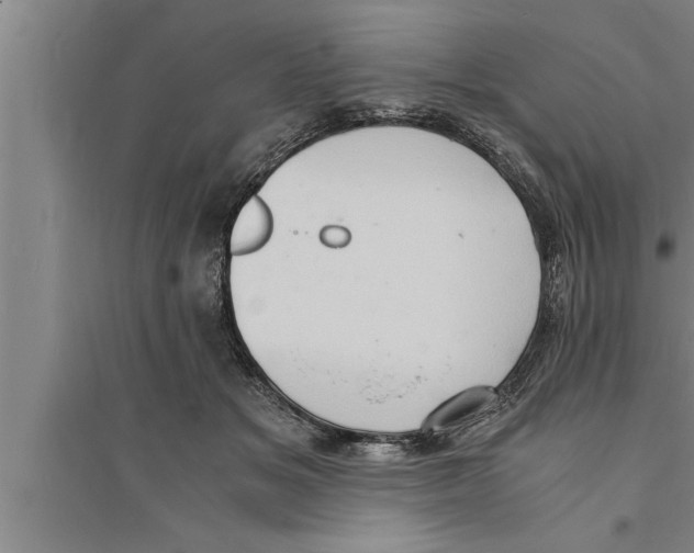 X0000094060509200711161527