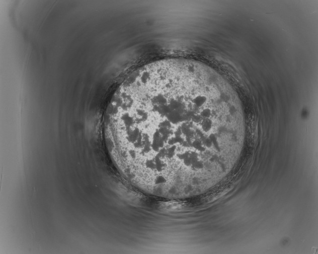 X0000094060511200711161527