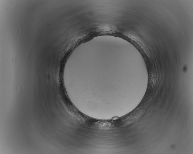 X0000094060512200711161527