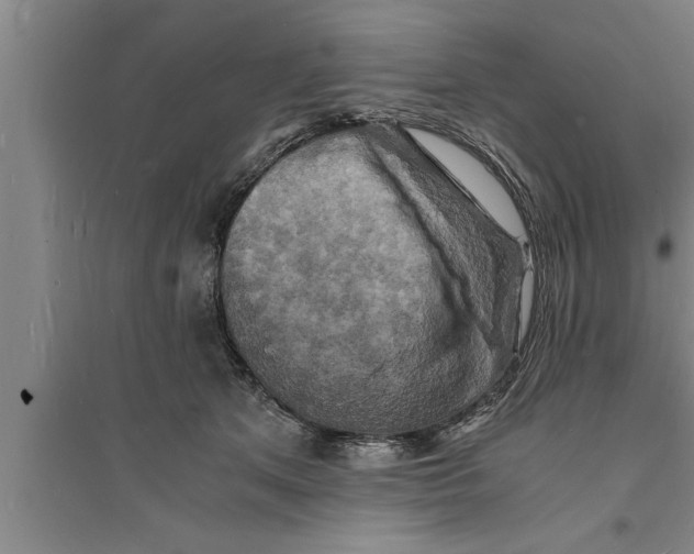 X0000094060513200711161527