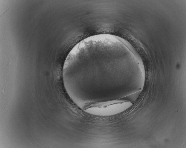 X0000094060517200711161527