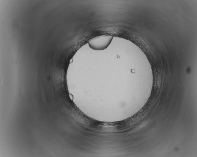 X0000094060518200711161527