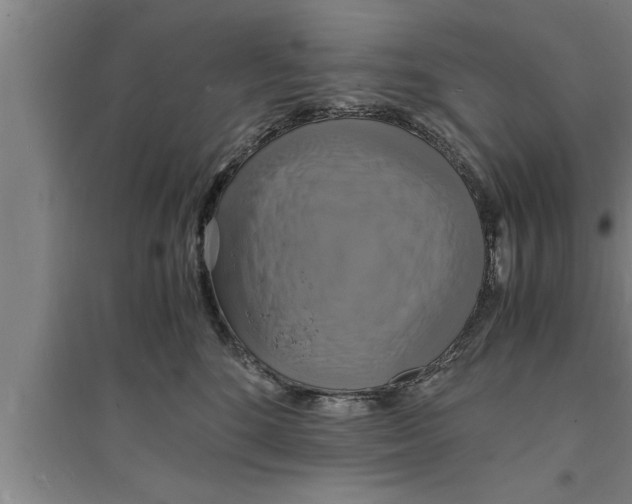 X0000094060520200711161527