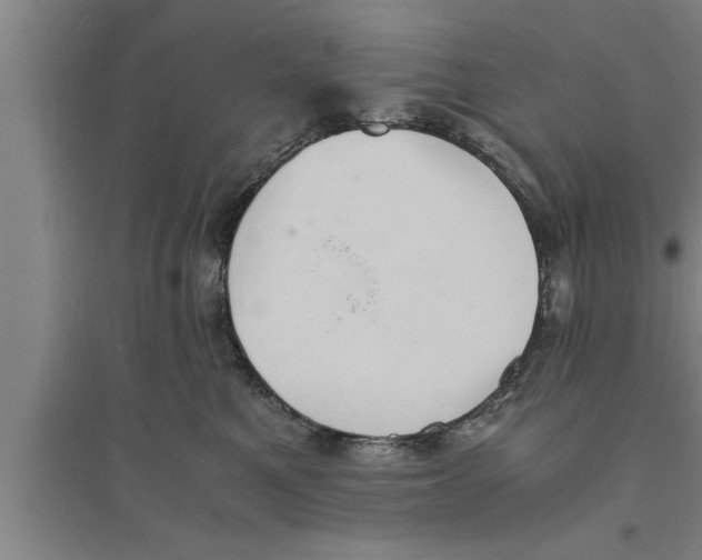 X0000094060521200711161527