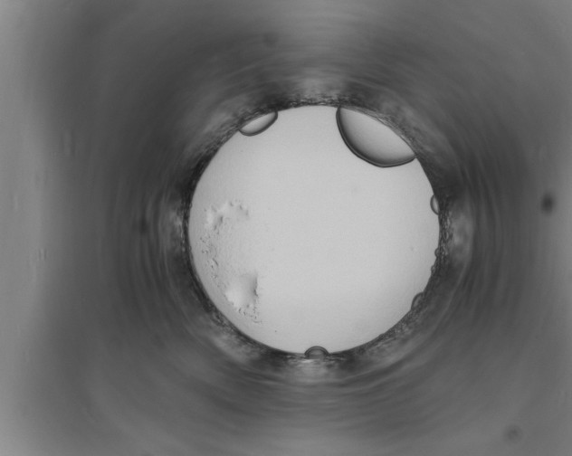 X0000094060522200711161527