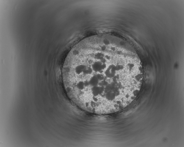 X0000094060523200711161527