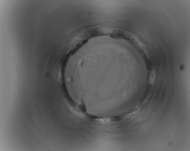 X0000094060524200711161527