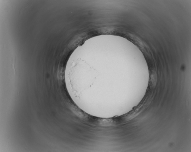 X0000094060525200711161527