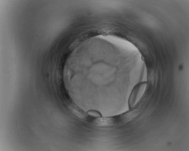 X0000094060526200711161527