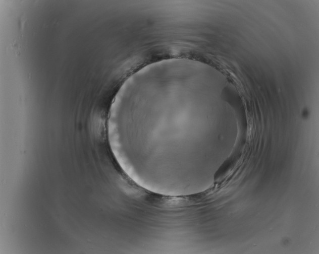 X0000094060527200711161527